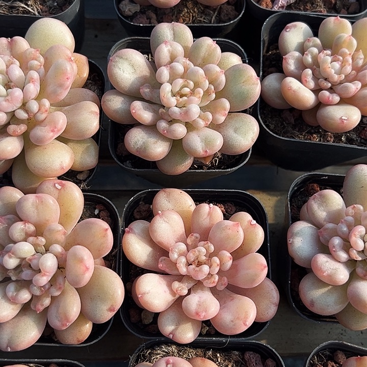 比尔盖茨       福利  多多