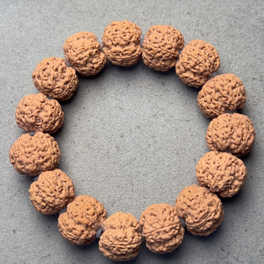 菩提13号金刚菩提题安娜蜂王20