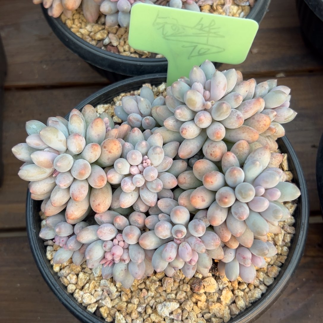 婴儿手指11111111