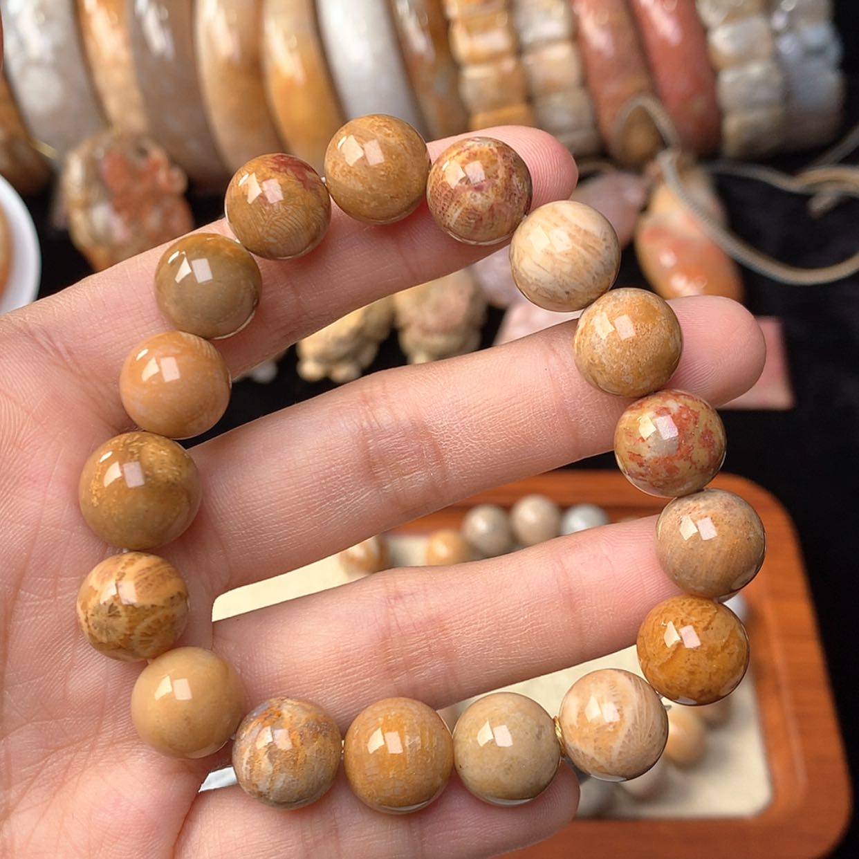 【闪购商品】硅化珊瑚（珊瑚玉）手链未镶嵌全金带红48漏24