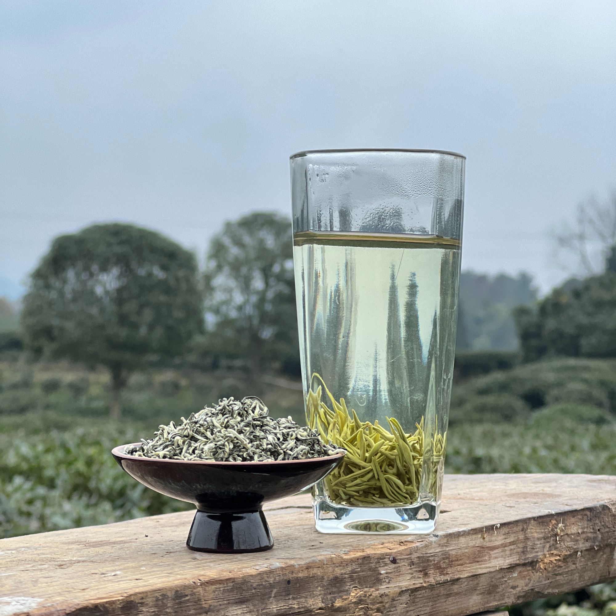 蒙顶甘露 特级蒙顶山高山栗香绿茶手工碧螺春型绿茶