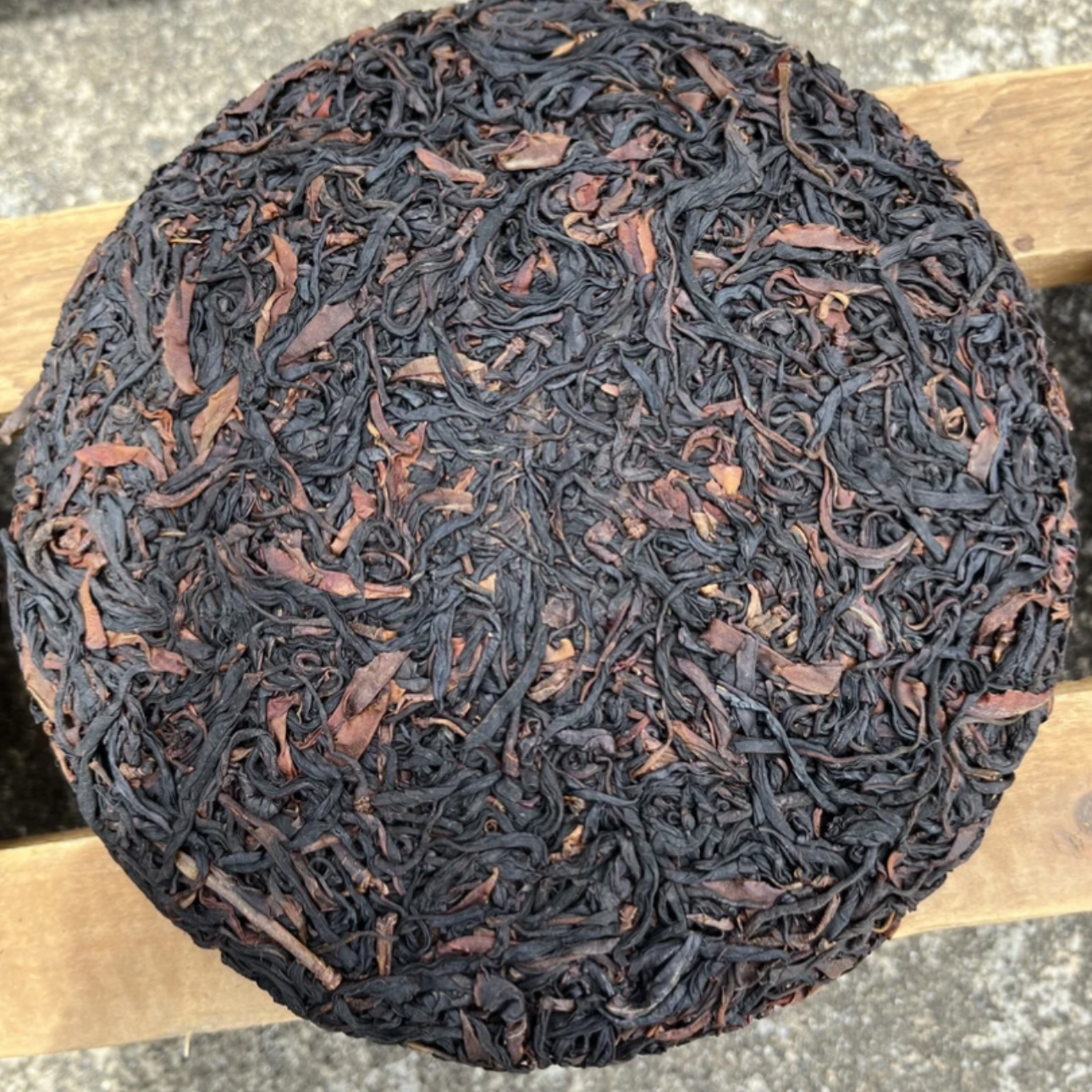 高黎贡森林野生茶《单株红茶饼》