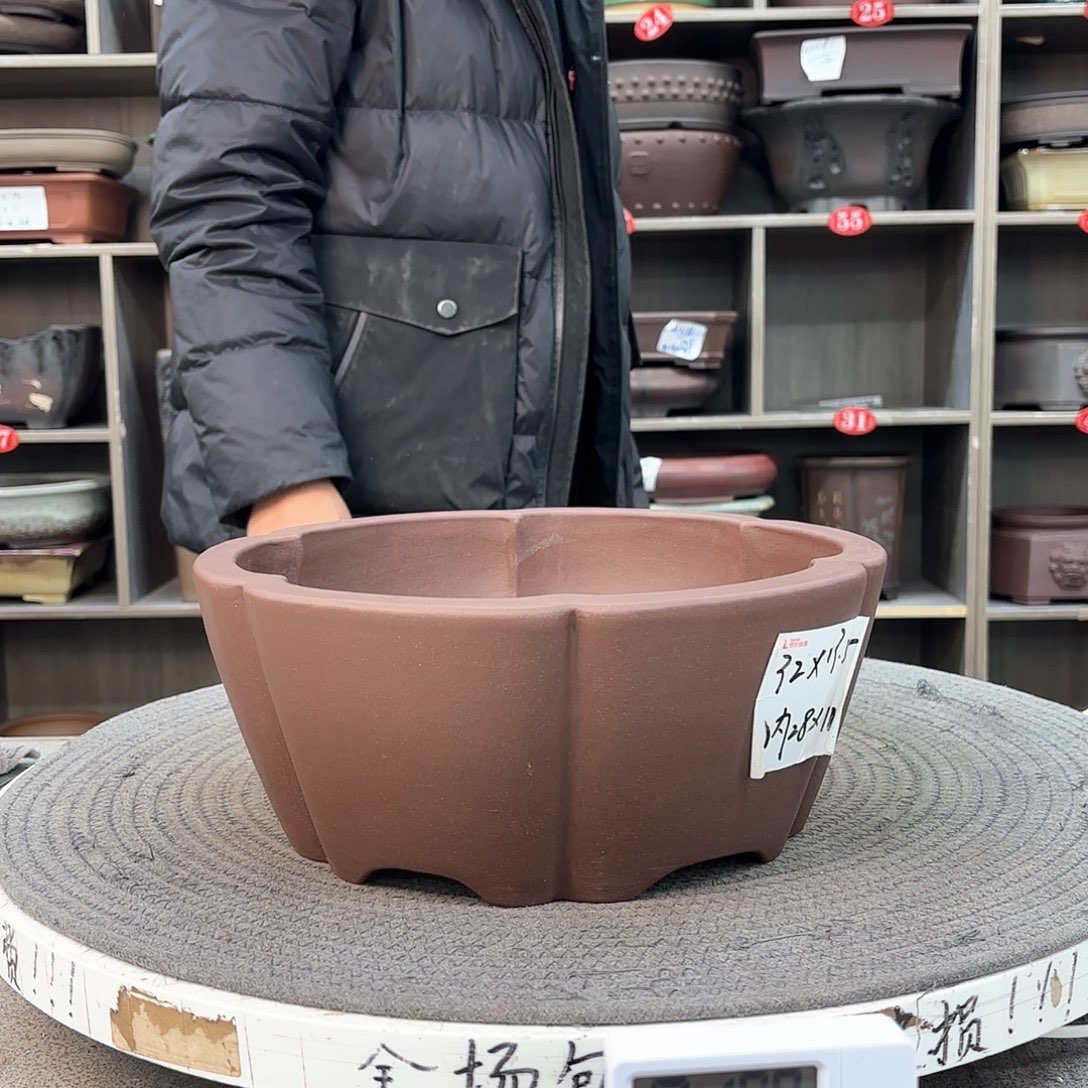 紫砂花盆紫砂的颜色很好看