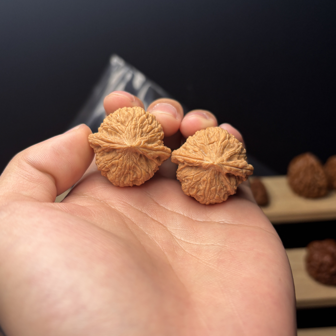 精品原树圣火令核桃