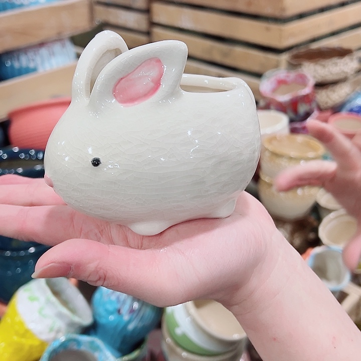 有孔，凑单福利满10元发货陶瓷多肉花盆！