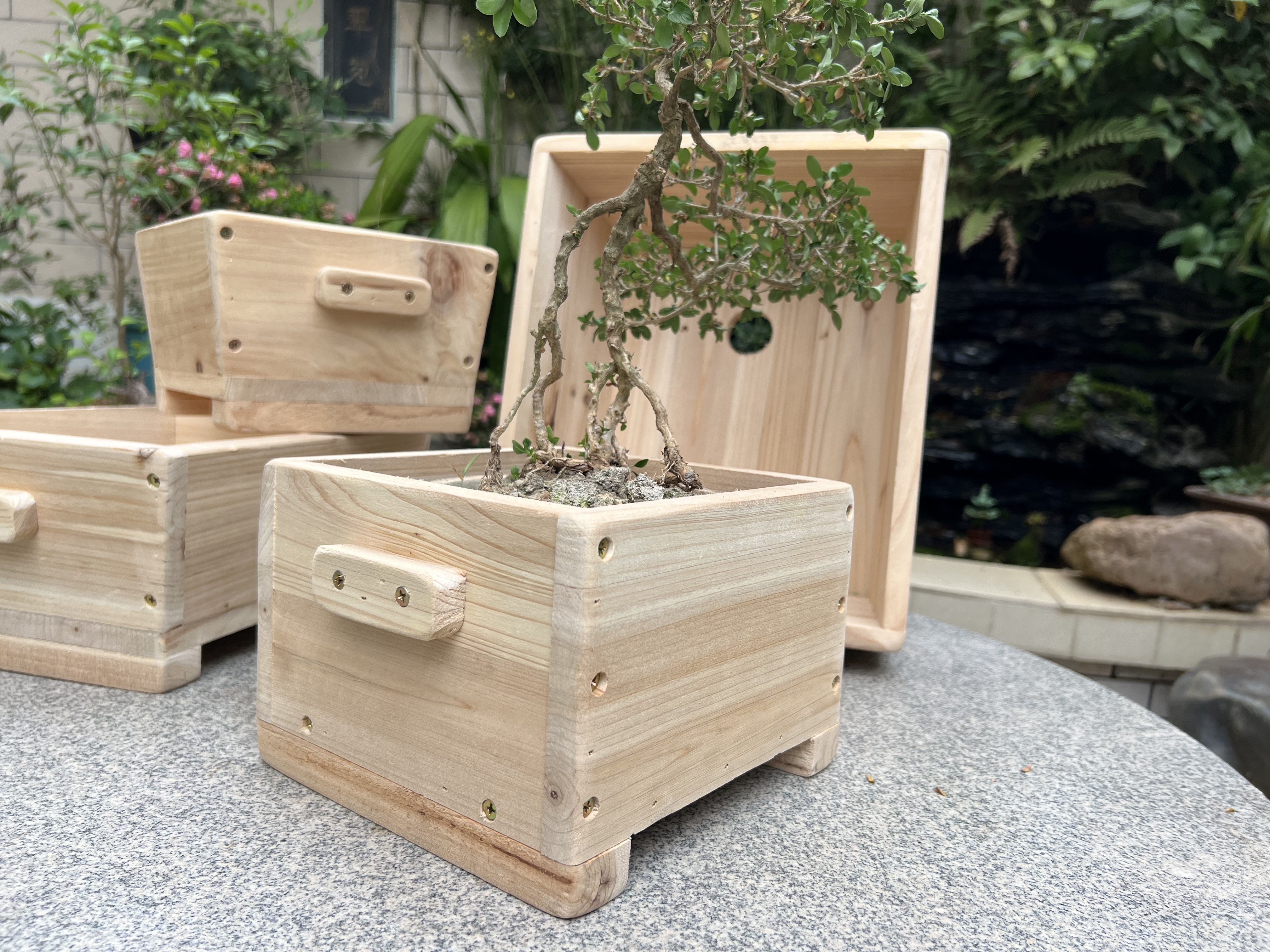 直播间专拍原木实木花盆杉木盆景盆