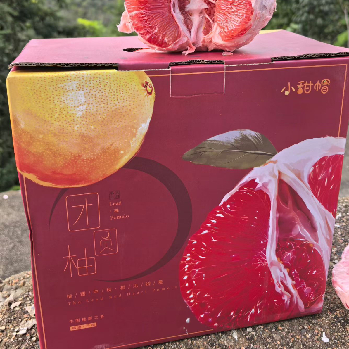 福建三红柚一箱4头