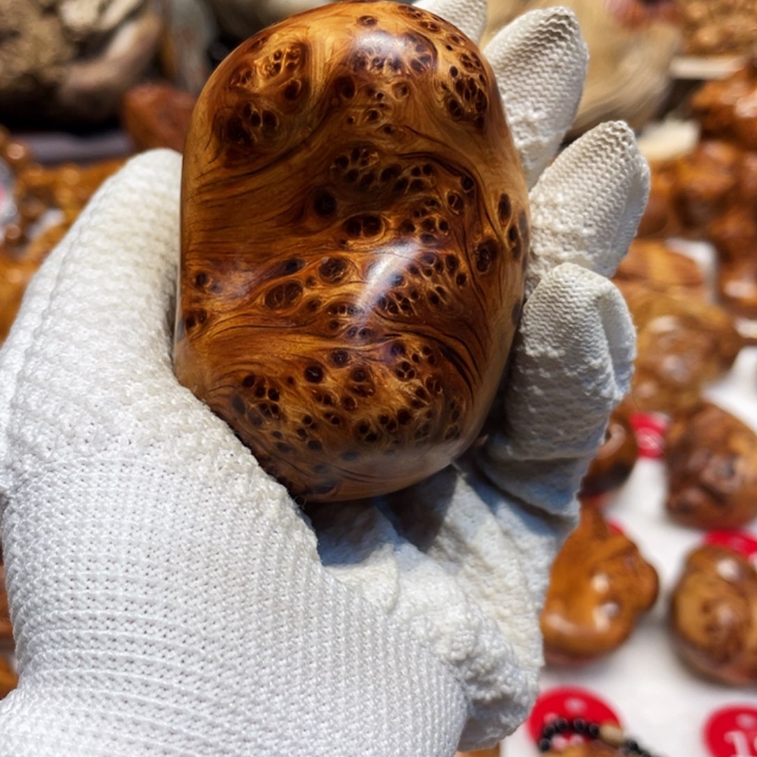 柏木（崖柏）太行崖柏