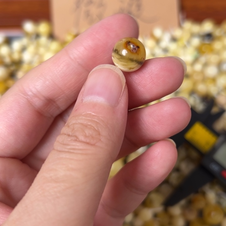 蜜蜡未镶嵌裸石10.9mm一个