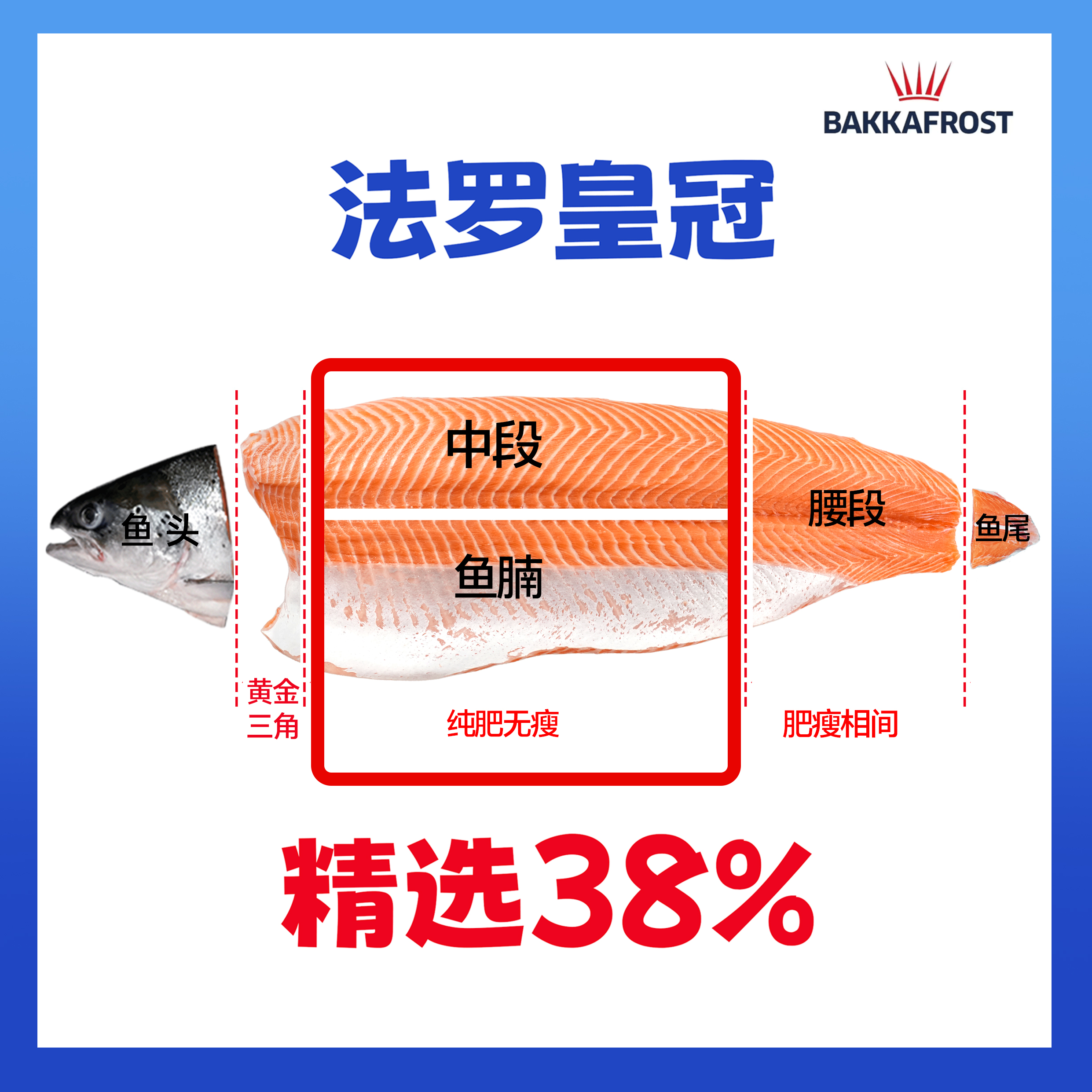 【法罗2斤】丹麦法罗皇冠三文鱼高品质中段鱼腩共1000g