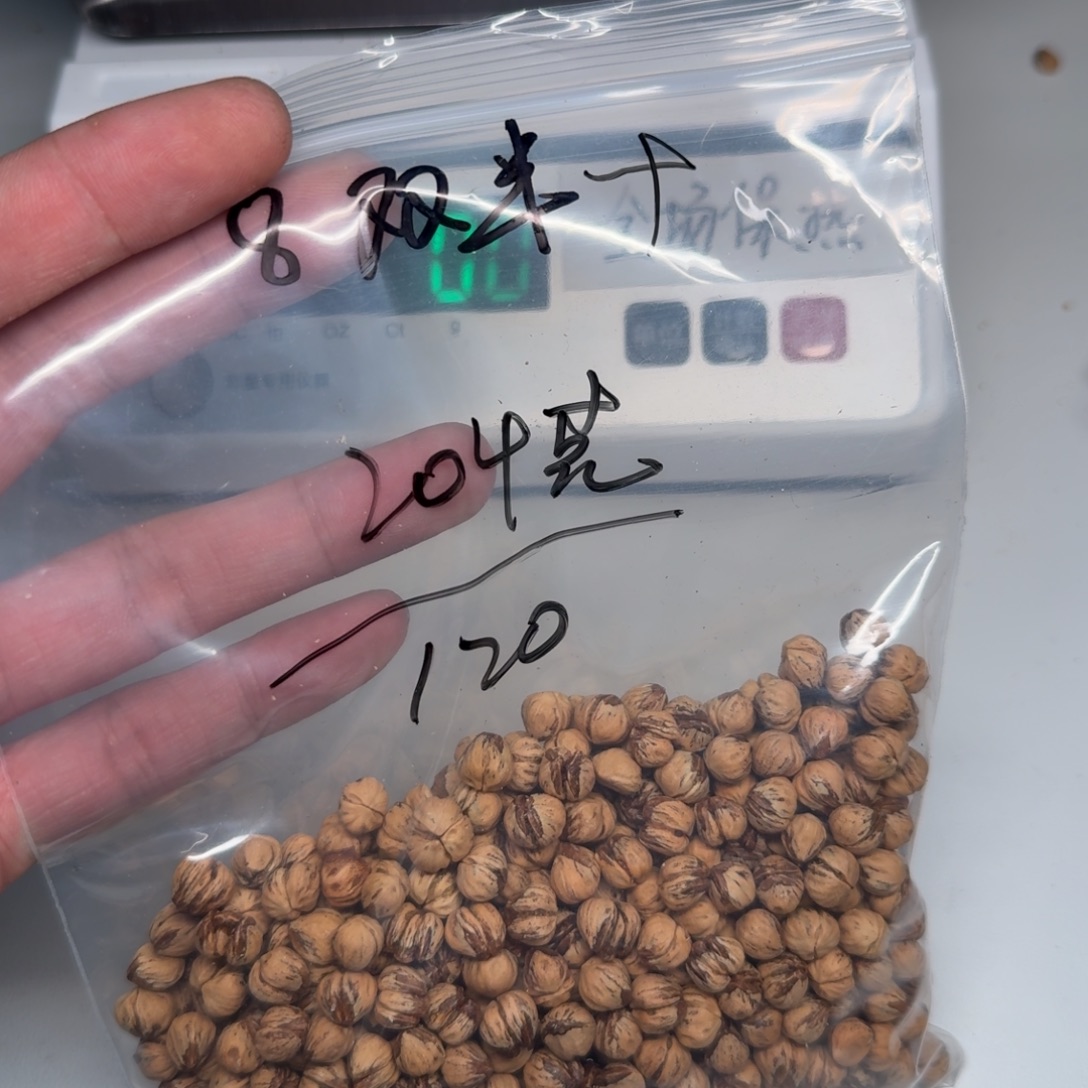 安***爸吊坠柏香籽/百香籽