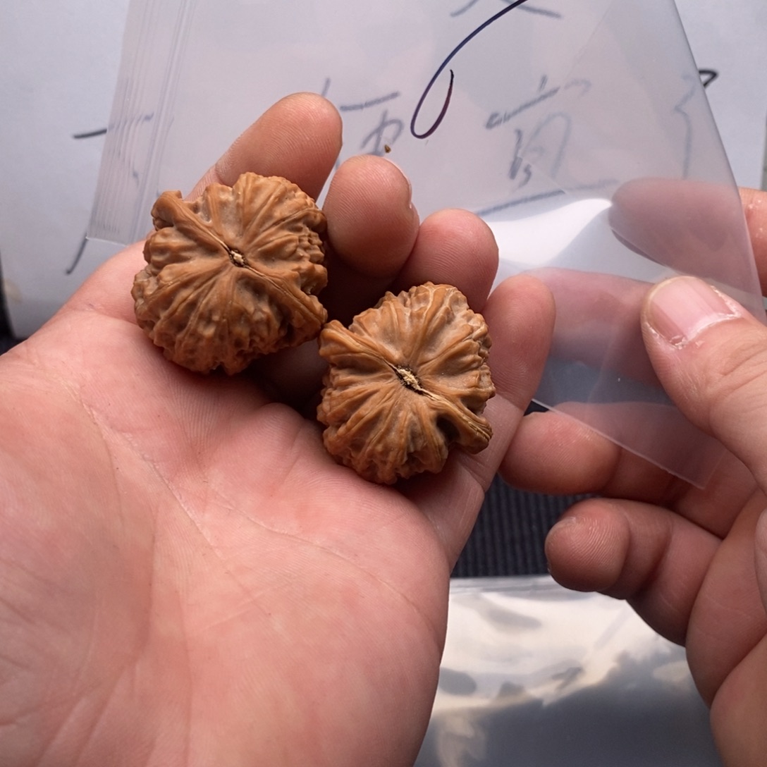 文玩核桃吊坠哈哈哈哈哈哈哈哈哈哈哈哈