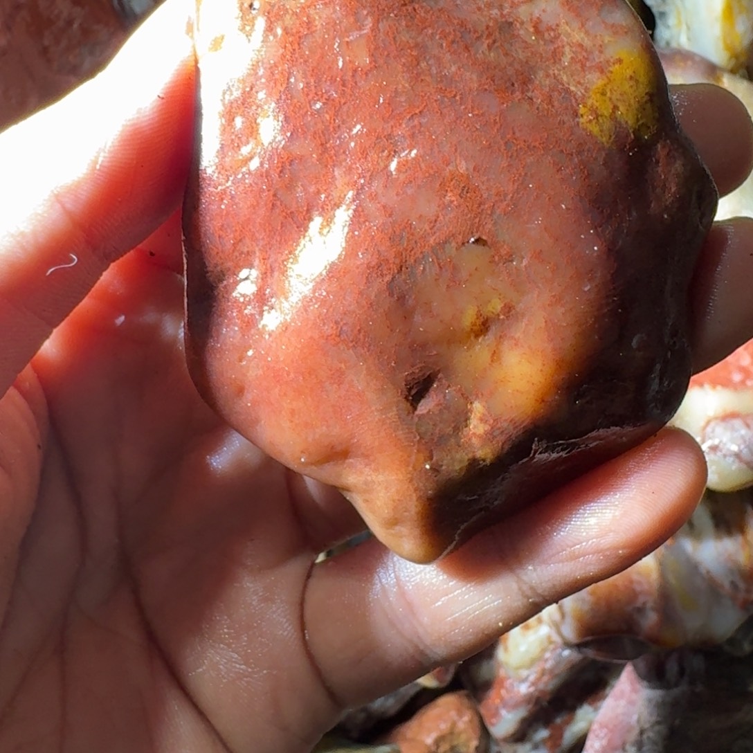 壶***秋寿山石899988899999