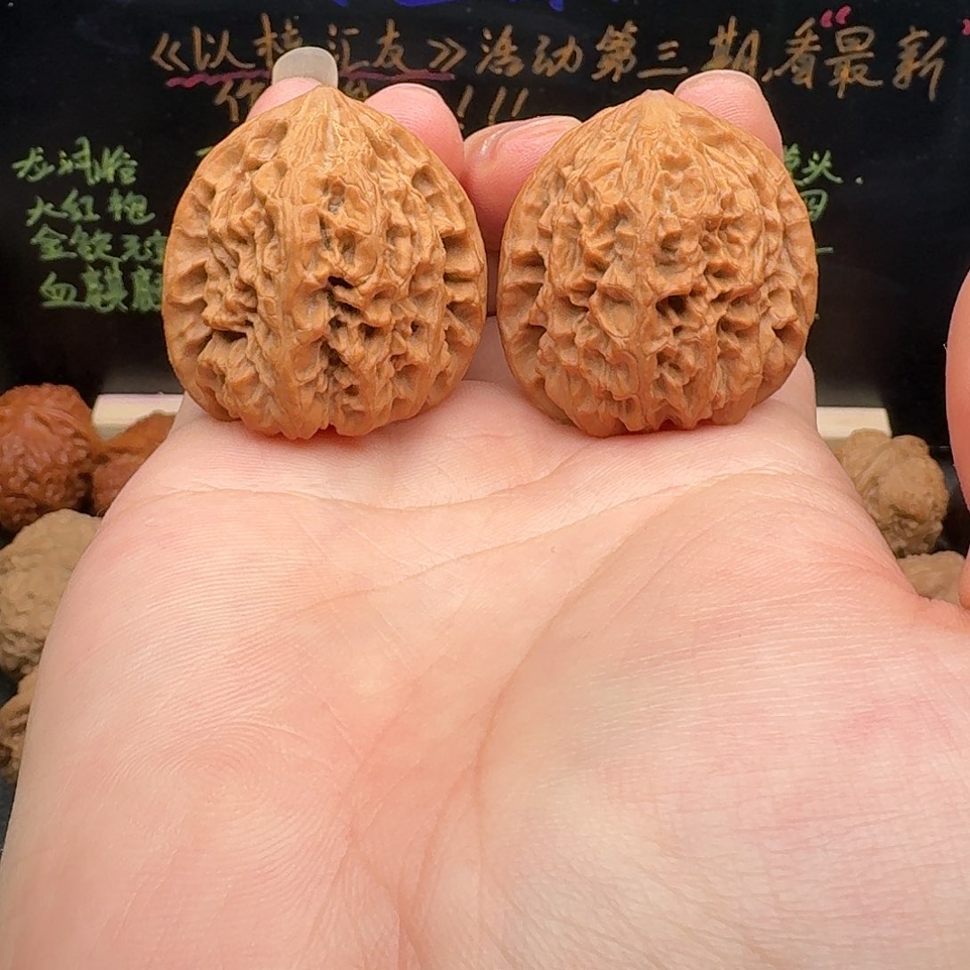 36/35/37野牛文玩核桃