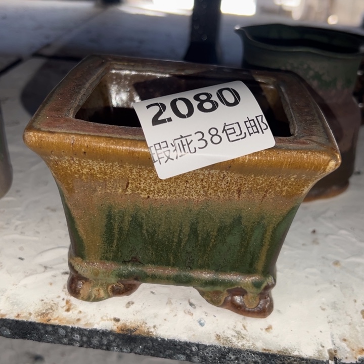 平***树厂家直销瑕疵福利38包邮