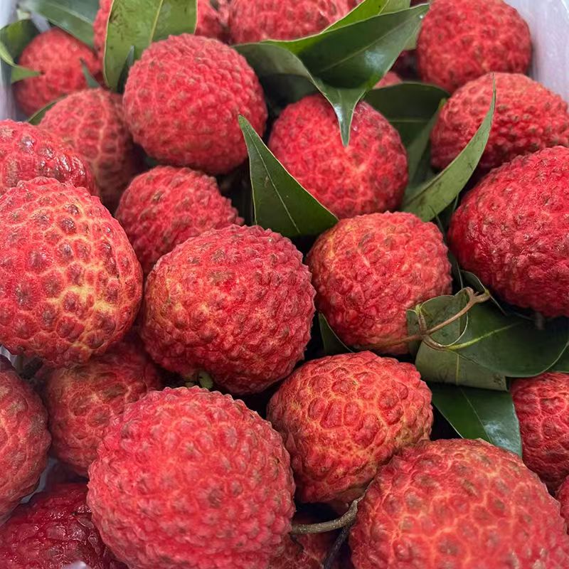 【王大水专属】正宗海南火山荔枝王新鲜顺丰冷链包邮