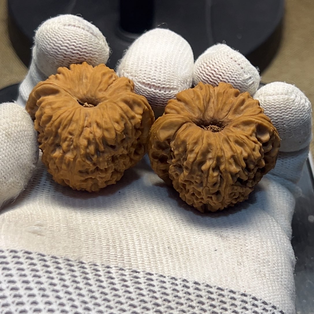 吊坠文玩核桃37.5涿鹿凹底 黄