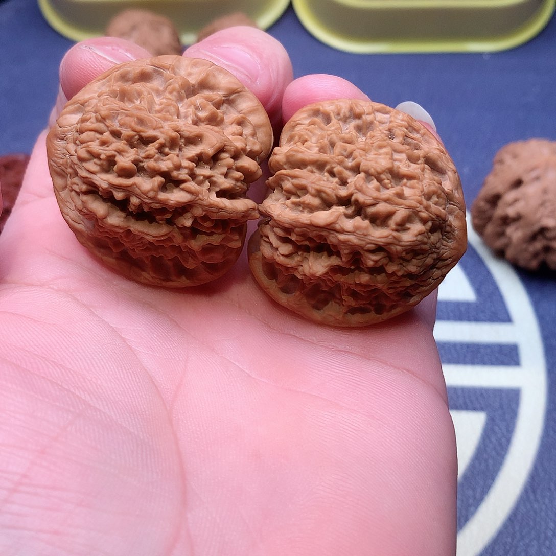 文玩核桃把件41.5满天星