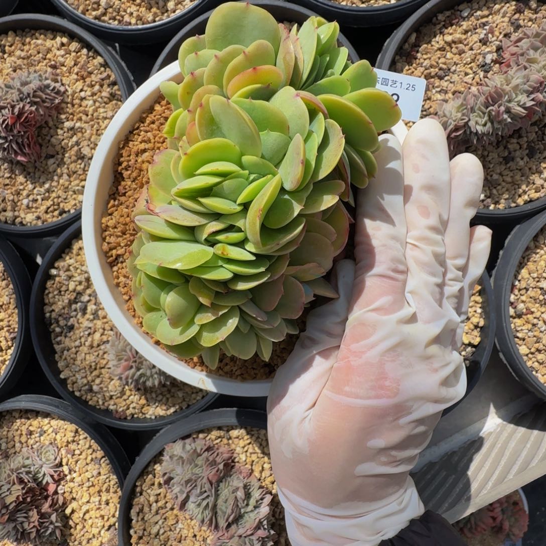 j j j j j j j j j j j j 39