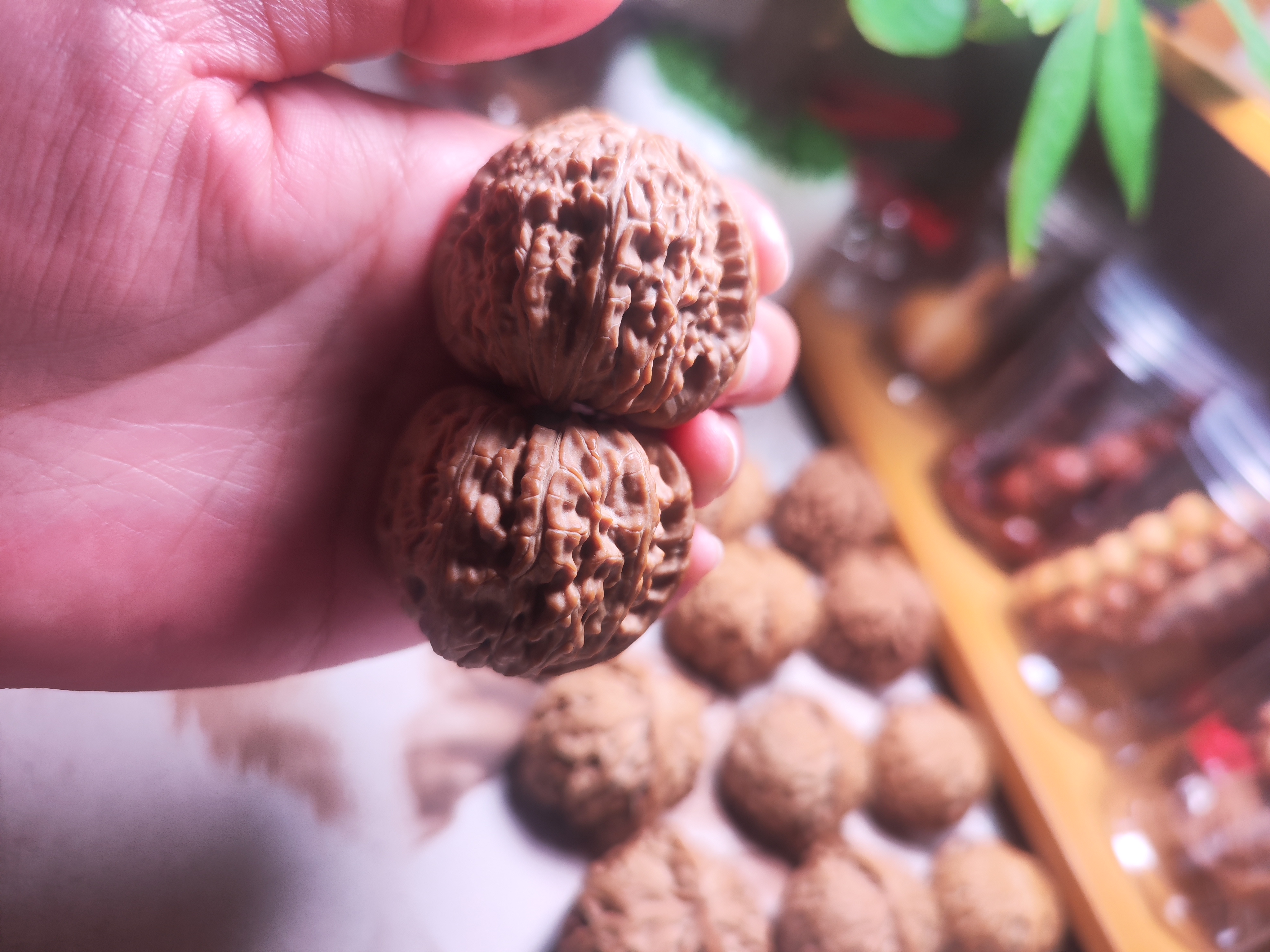 40尺白狮子文玩核桃