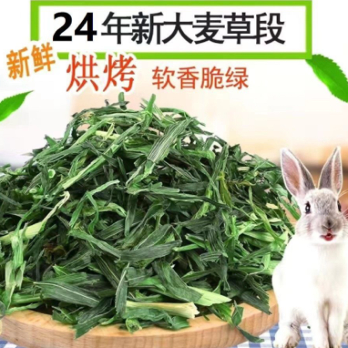 兔子豚鼠荷兰猪仓鼠龙猫烘干新鲜优质优选小宠2024新鲜优质大麦草