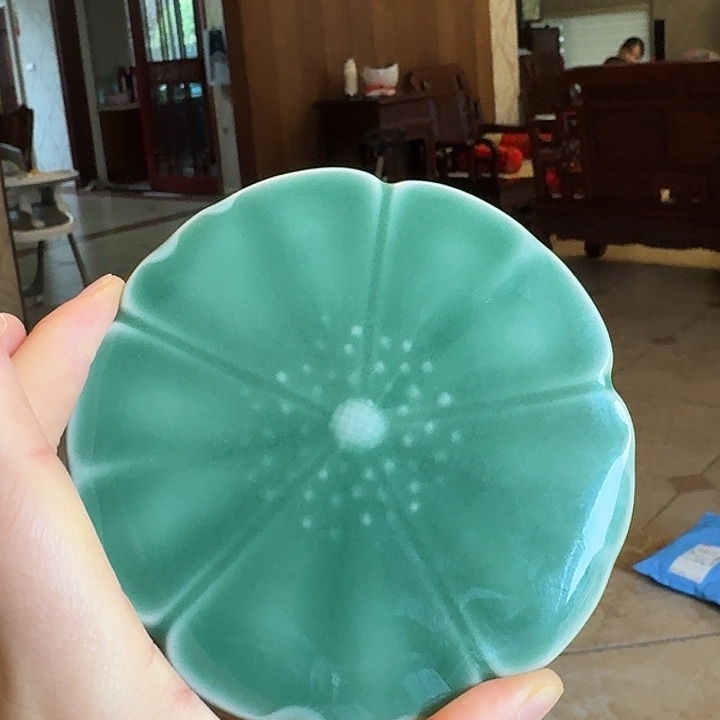 青瓷哈哈哈哈哈哈姐姐姐姐家