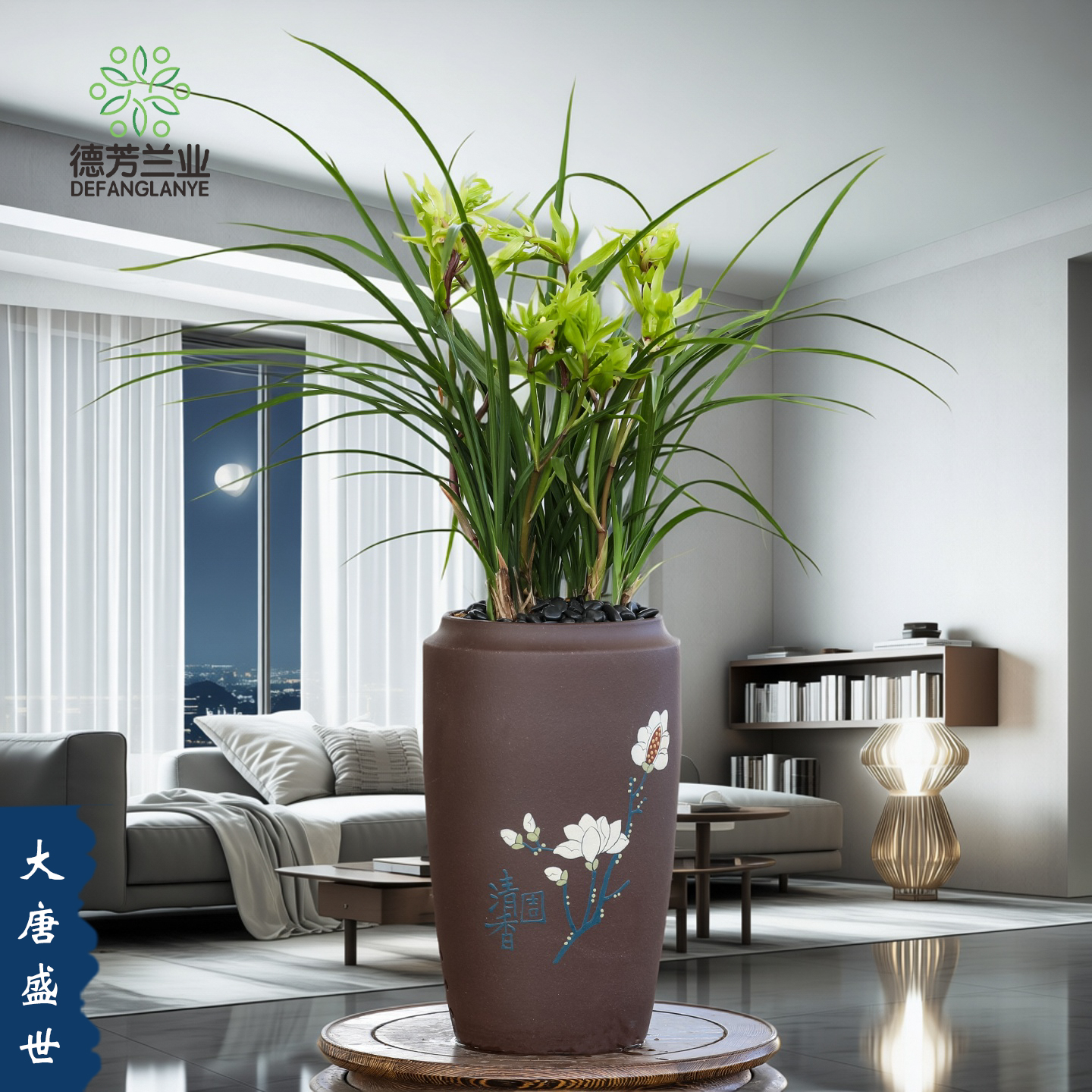 春兰奇花【大唐盛世】带花苞带盆种好室内兰草花卉植物盆栽好养浓香