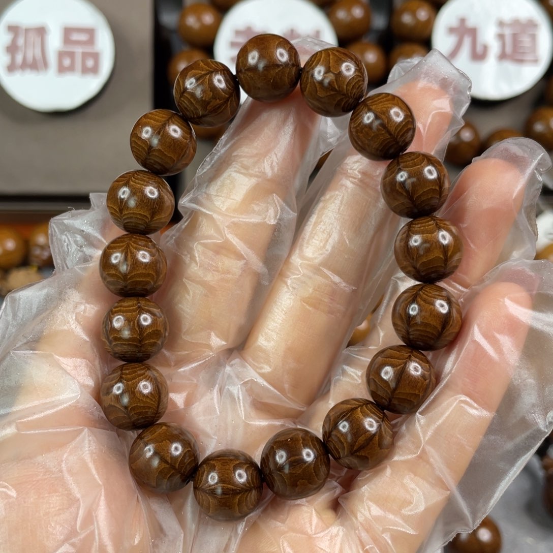 六道木枯树， 毕业1.2