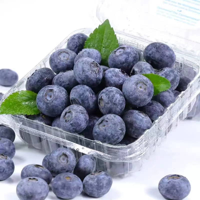 【次日达】*云南扶仙湖花香蓝莓新鲜采摘脆甜爆汁200g起24mm+