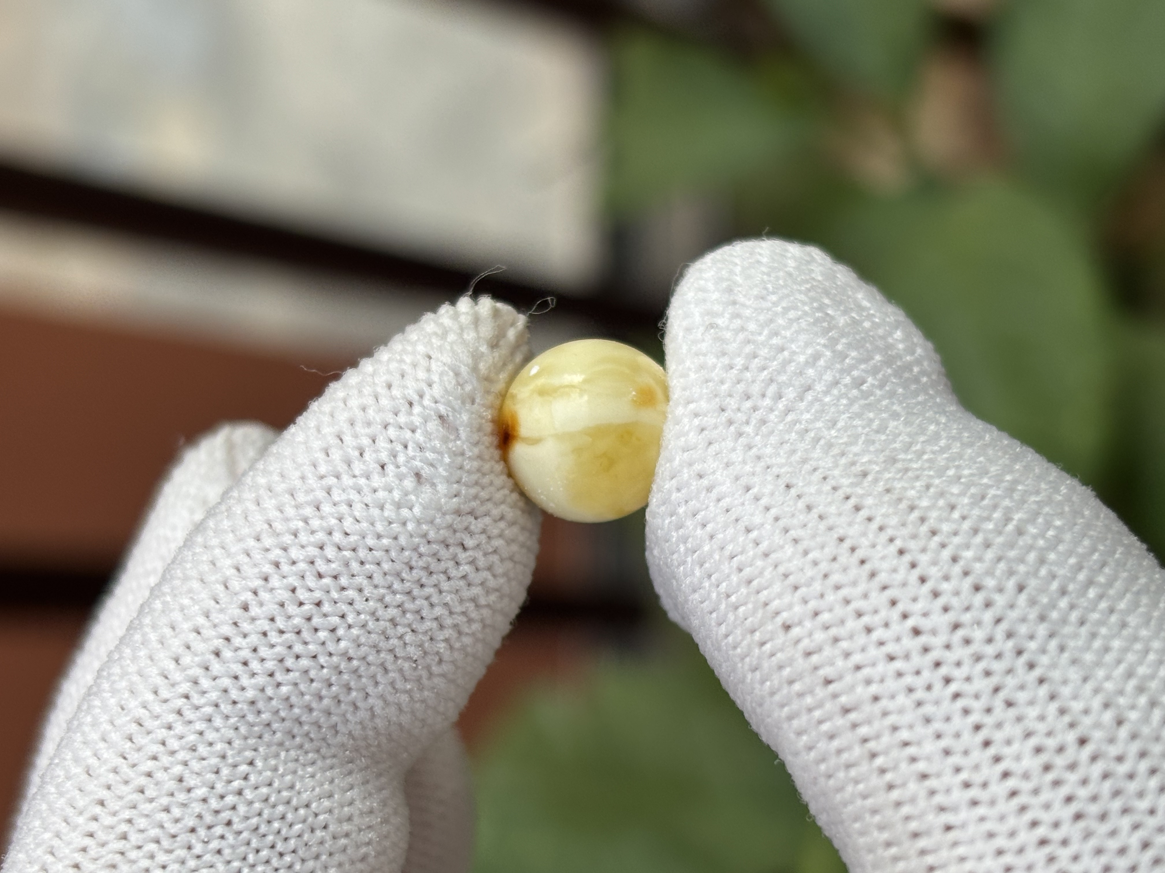 5358天然蜜蜡琥珀微瑕圆珠10mm