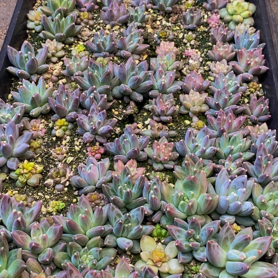 ?710多人在一起的时候我