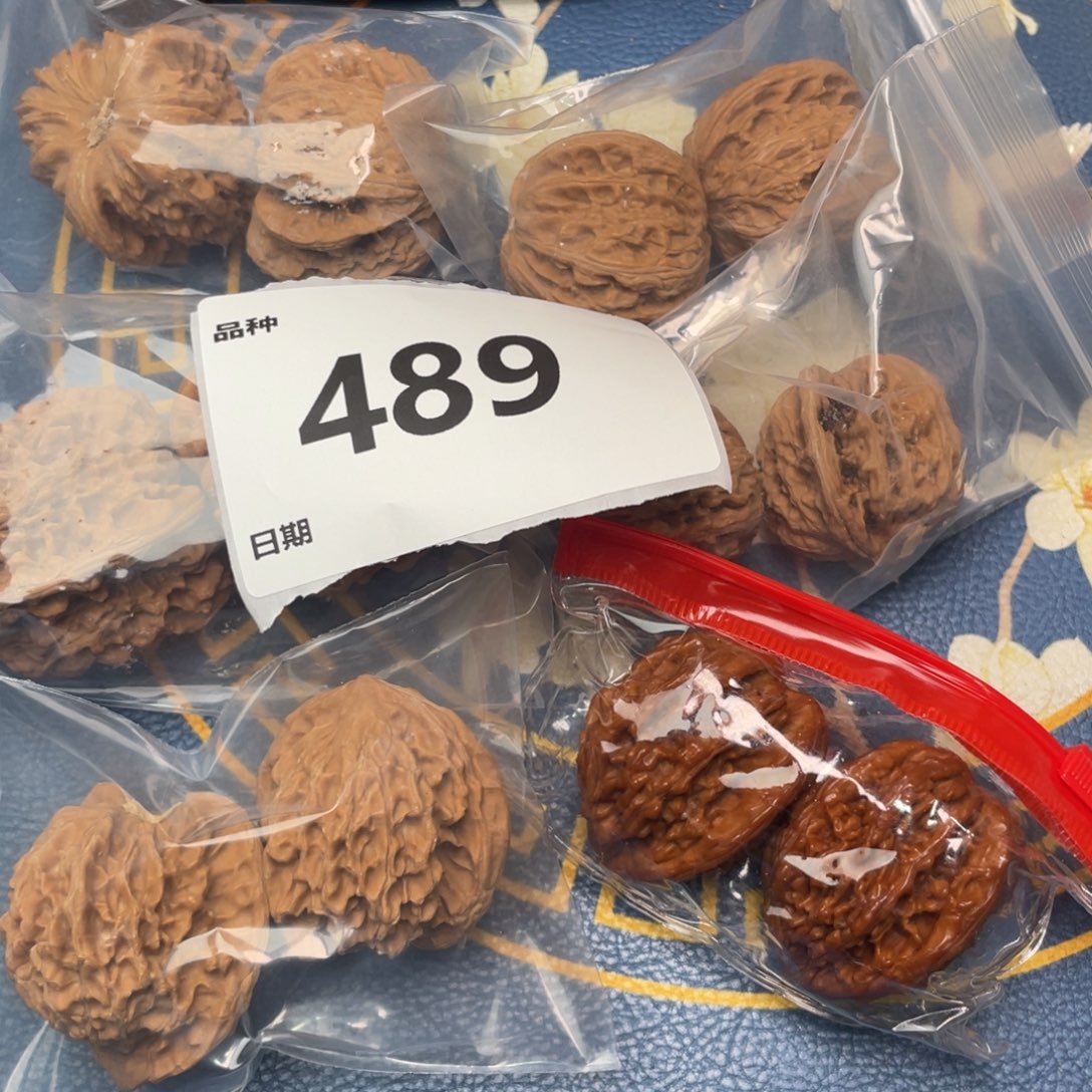 文玩核桃把件489号6对