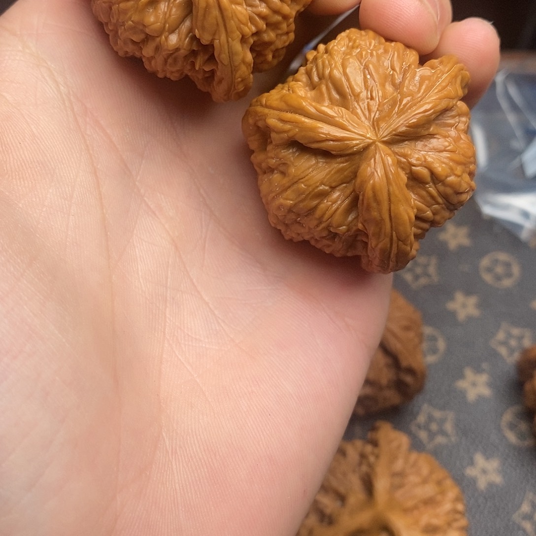 草*狼白狮1111111111111