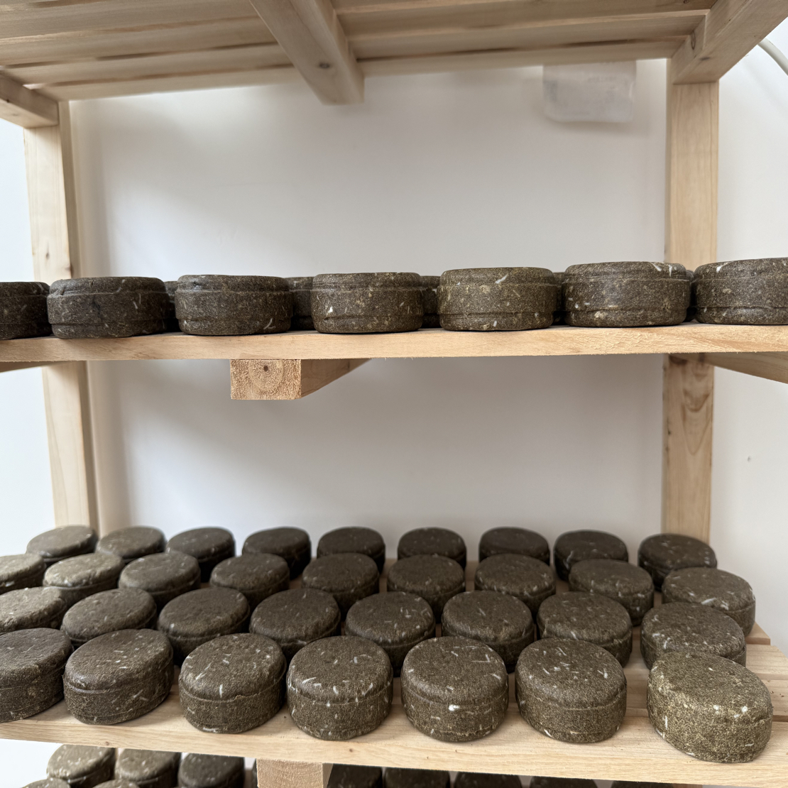 夏沐漓茶麸洗发饼一块➕侧柏叶洗发饼一块