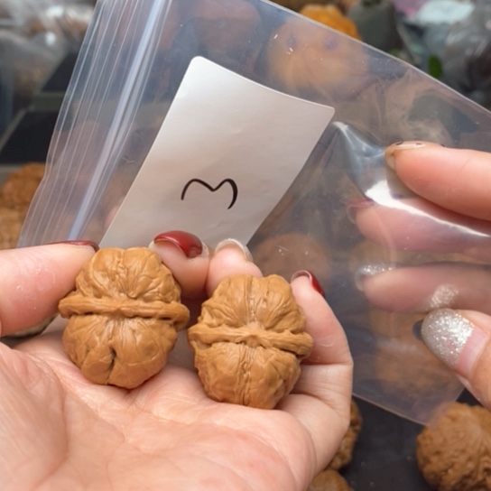 桃核吊坠?****租3蛙蛙蛙蛙