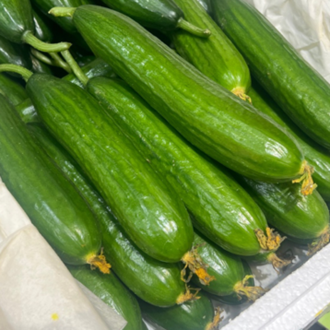 水果小黄瓜  9.9/斤