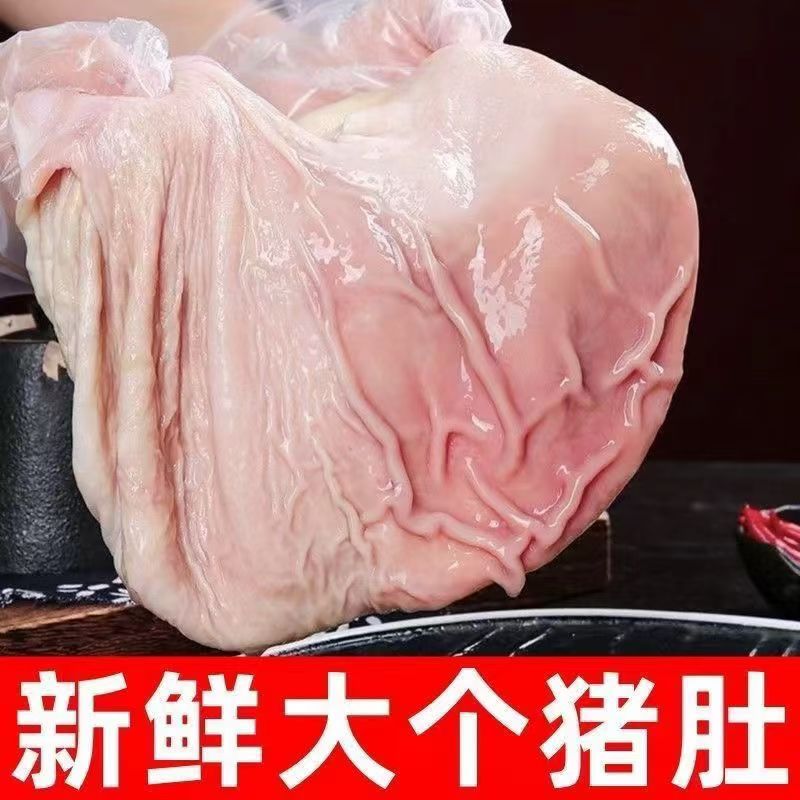 今天拍明天到【拍3个送1至2个】到手3斤猪肚4至5个左右 冷鲜速冻