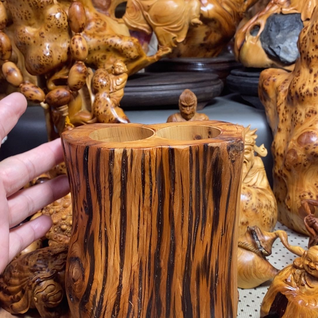 柏木（崖柏）太行山上