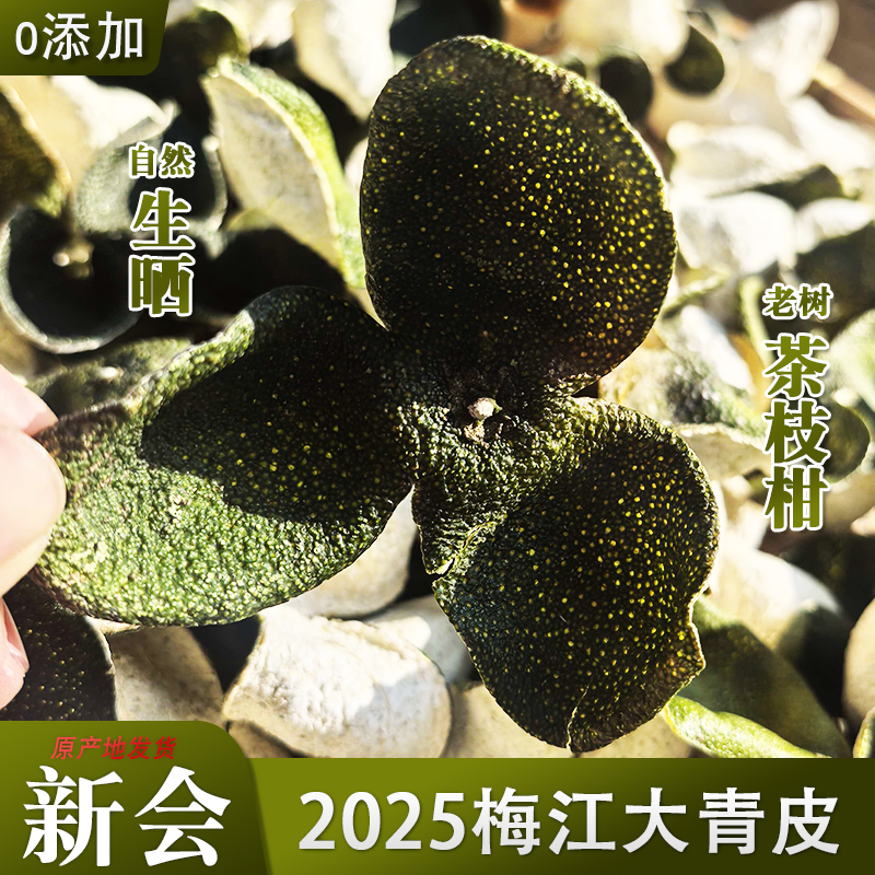 正宗新会青皮2025年新货广东特产梅江陈皮泡水鲜陈皮自然生晒青皮