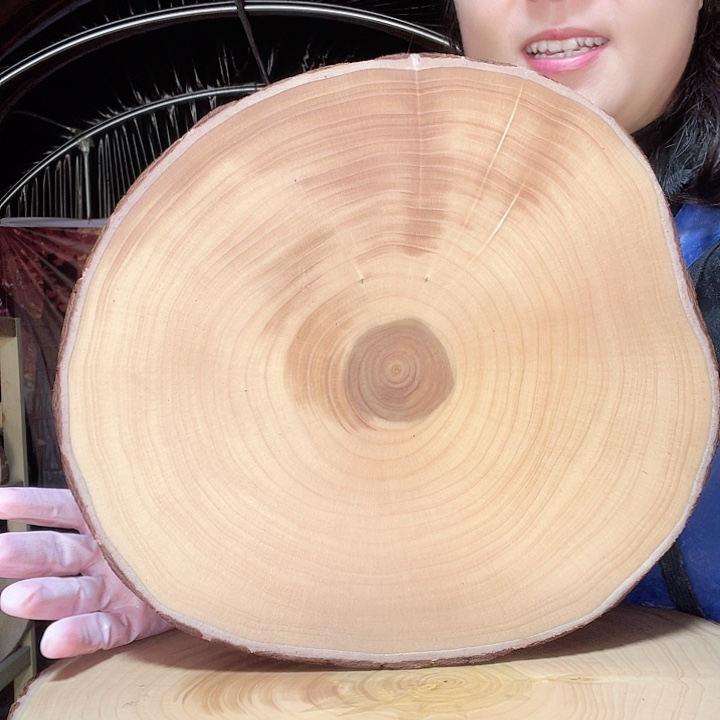 木银杏树菜板整木整切