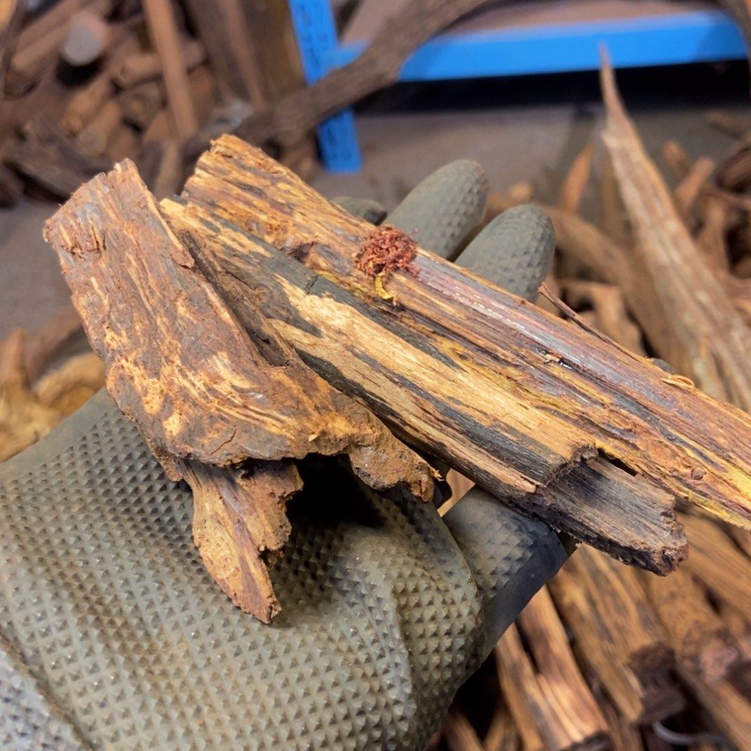 泡****海南降真香原材料标本直发