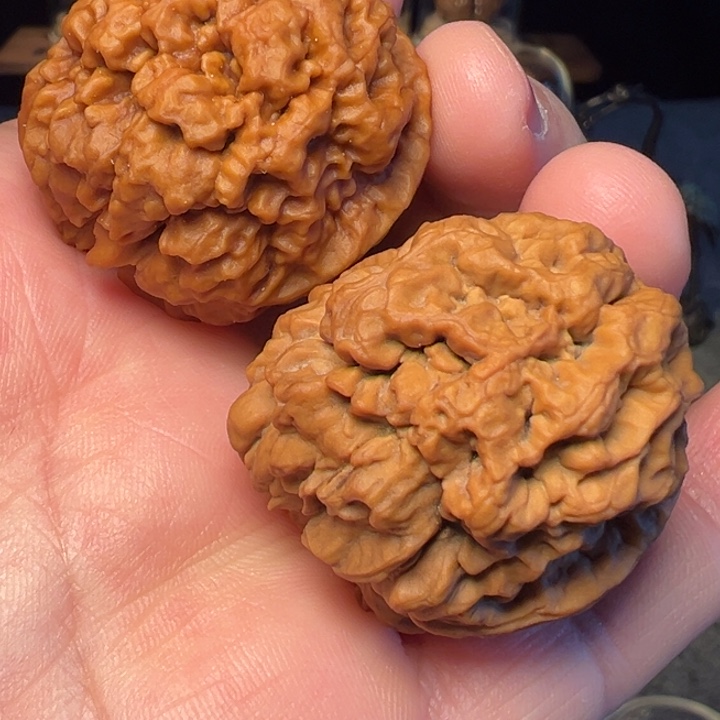 文玩核桃把件舍利子35mm