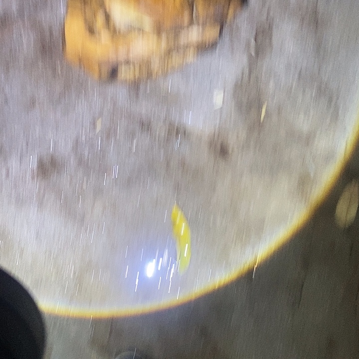 生***燚其他楠木（金丝楠）