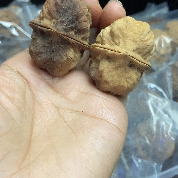 木质类云南铁核桃基地32