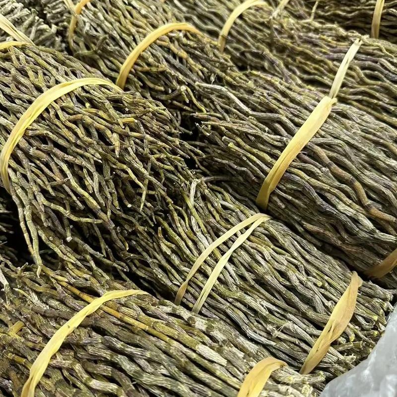 云南现收山货   石湖条菇