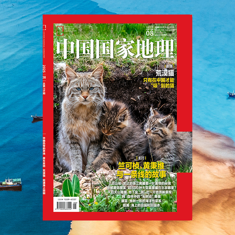 中国国家地理2025年8月八月刊库车盆地封面:荒漠猫 霞浦海上田园 