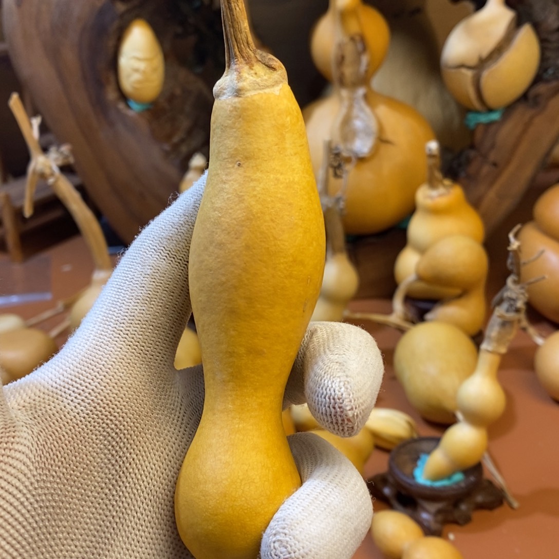 世***尘教练来咯哦哦哦哦咯