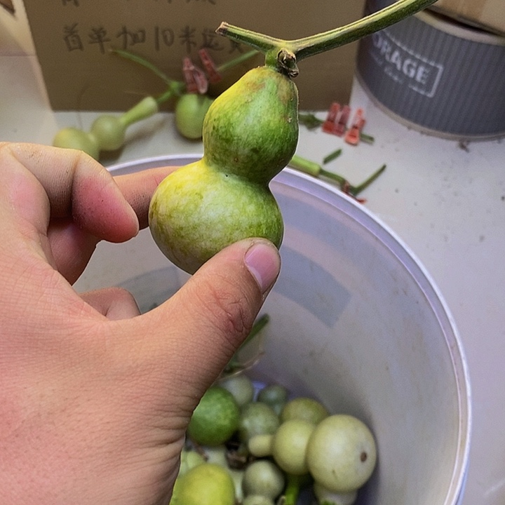 迷**活长嘴哈哈哈哈哈哈哈哈哈哈