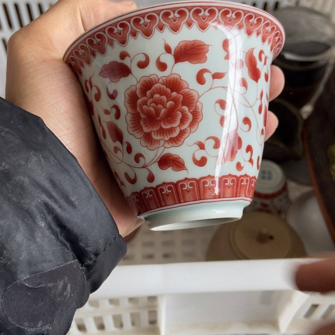 杯直播链接直播链接