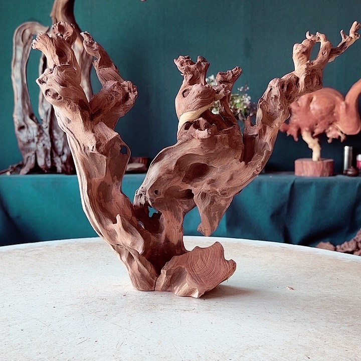 黑果木鑫**艺536金丝红木羊蹄甲半成品经典款特价